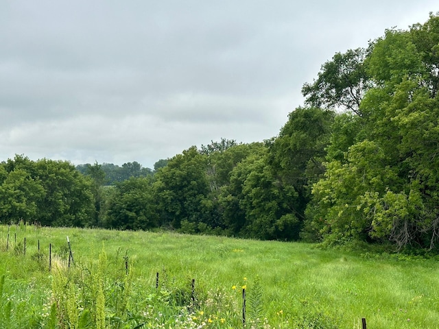 TBD County Road 43, Laketown Twp, MN 55318 - photo 7