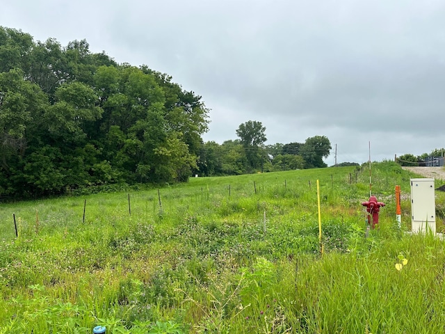TBD County Road 43, Laketown Twp, MN 55318 - photo 8