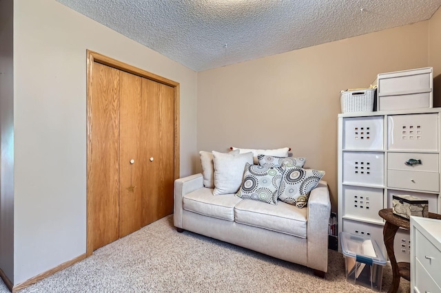 13367 Martin St NW, Andover, MN 55304 - photo 17