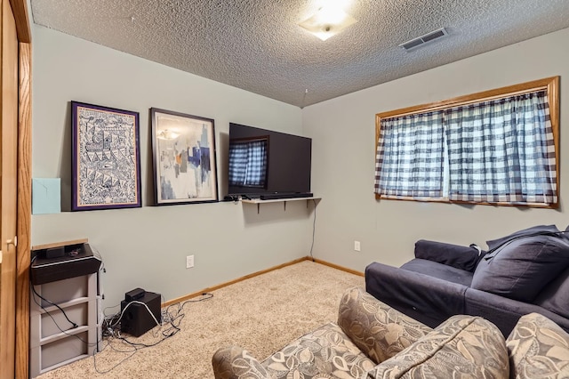 13367 Martin St NW, Andover, MN 55304 - photo 20