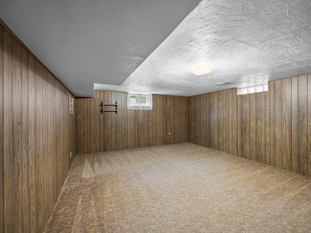 3945 8th Ave NW, Anoka, MN 55303 - basement featuring wooden walls, healthy amount of natural light, carpet floors, and a textured ceiling