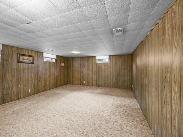 3945 8th Ave NW, Anoka, MN 55303 - below grade area with carpet flooring, plenty of natural light, and wooden walls