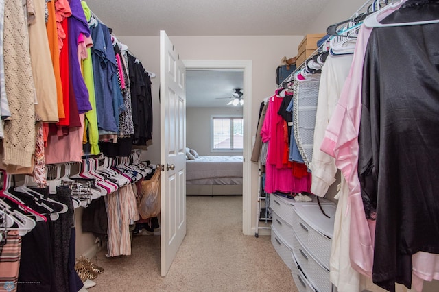 508 19th Ave W Unit C, West Fargo, ND 58078 - walk in closet with carpet and a ceiling fan