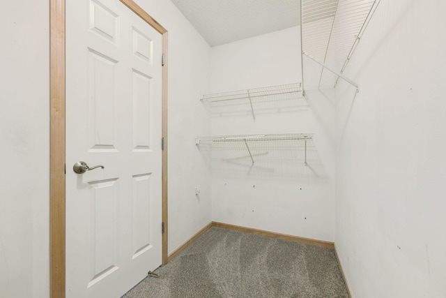 9935 Colorado Ln N, Brooklyn Park, MN 55445 - photo 44