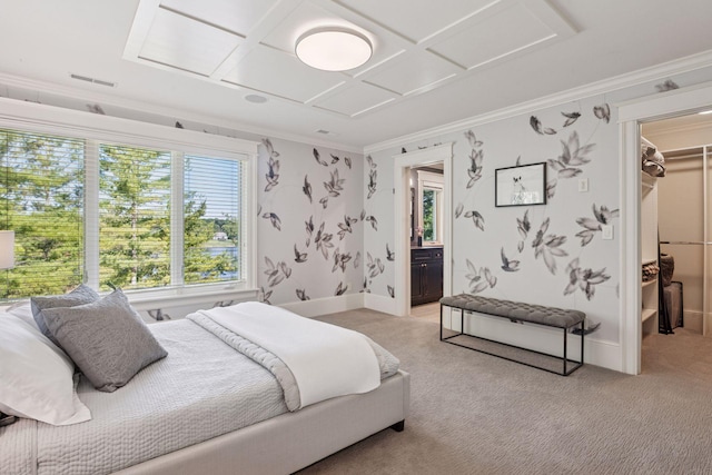 849 Brown Rd N, Orono, MN 55356 - bedroom featuring a walk in closet, crown molding, light carpet, a closet, and ensuite bathroom