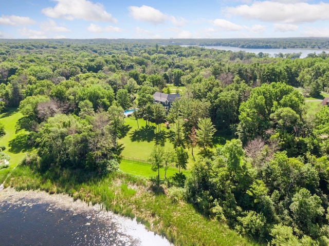 849 Brown Rd N, Orono, MN 55356 - drone / aerial view of a heavily wooded area and a large body of water