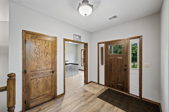 2801 263rd Ave NE, Isanti, MN 55040 - foyer entrance with light wood-style floors and a textured ceiling