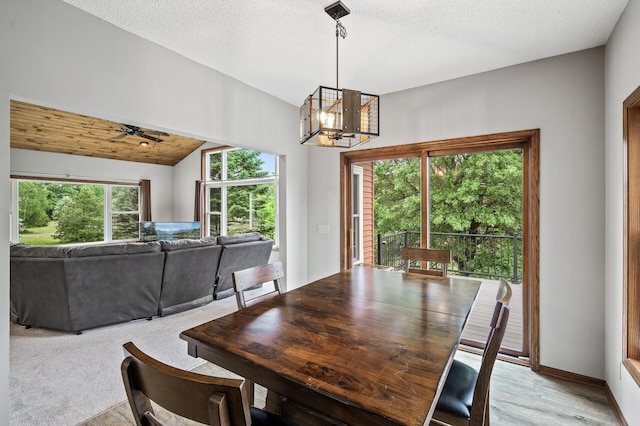 2801 263rd Ave NE, Isanti, MN 55040 - dining room featuring a chandelier, ceiling fan, and light wood-style floors