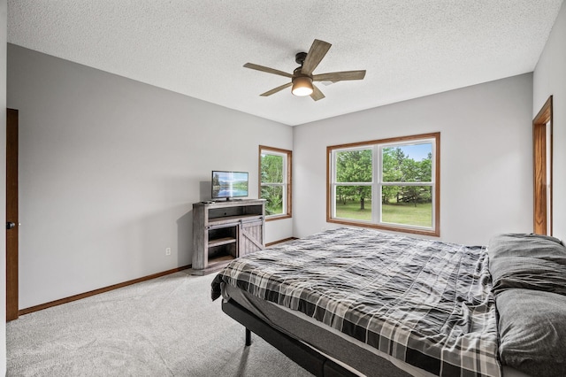 2801 263rd Ave NE, Isanti, MN 55040 - bedroom with carpet flooring, a textured ceiling, and a ceiling fan