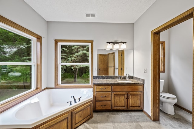 2801 263rd Ave NE, Isanti, MN 55040 - bathroom with a garden tub, vanity, and a textured ceiling