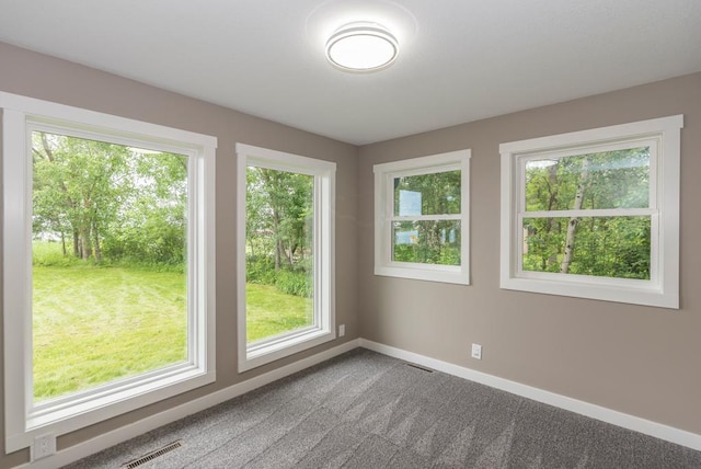 26877 Rainbow Ln, Merrifield, MN 56465 - spare room with healthy amount of natural light and dark carpet