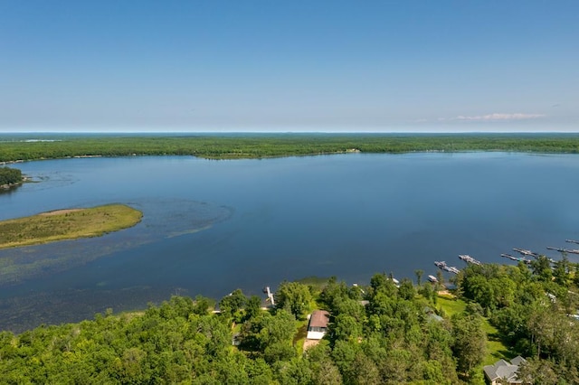 26877 Rainbow Ln, Merrifield, MN 56465 - water view featuring a heavily wooded area