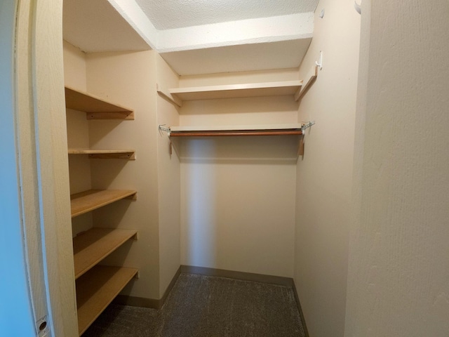 1181 Edgcumbe Rd Unit 709, Saint Paul, MN 55105 - walk in closet featuring carpet flooring