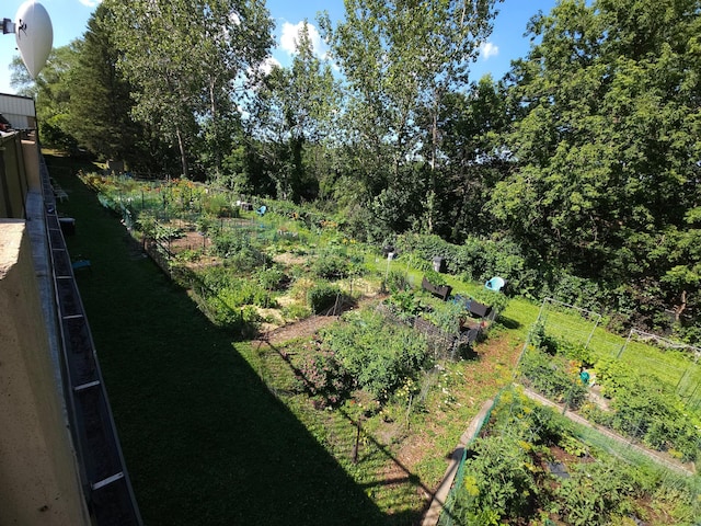 1181 Edgcumbe Rd Unit 709, Saint Paul, MN 55105 - view of yard featuring a garden
