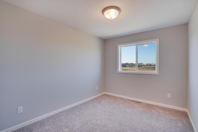 19916 English Ln N, Forest Lake, MN 55025 - spare room with carpet and baseboards