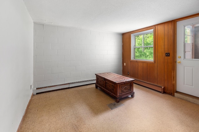 7 Pleasant Ave SE, Remer, MN 56672 - spare room featuring a baseboard radiator, healthy amount of natural light, light floors, and a textured ceiling