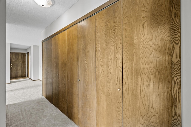 814 9th Ave S Unit 5, Hopkins, MN 55343 - corridor with carpet floors and a textured ceiling