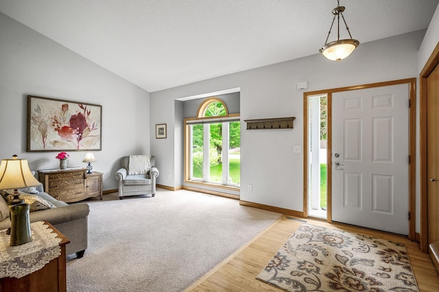 121 Arbor St, Northfield, MN 55057 - foyer featuring vaulted ceiling and light wood-style flooring