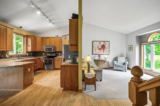121 Arbor St, Northfield, MN 55057 - kitchen with stainless steel appliances, vaulted ceiling, track lighting, brown cabinets, and plenty of natural light