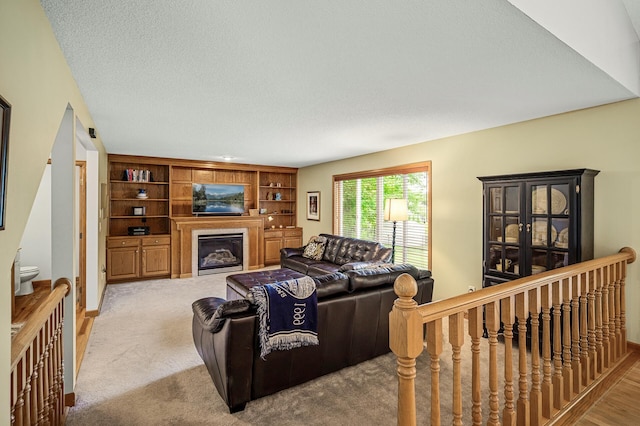 121 Arbor St, Northfield, MN 55057 - carpeted living room with a glass covered fireplace and built in features