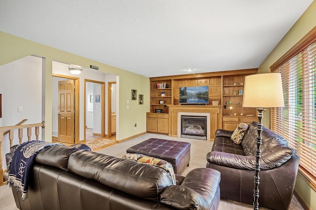 121 Arbor St, Northfield, MN 55057 - living room featuring light colored carpet, built in features, and a fireplace