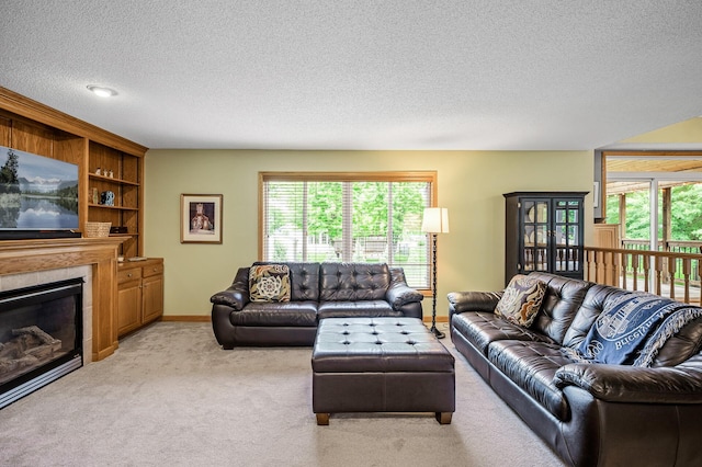 121 Arbor St, Northfield, MN 55057 - living area with a textured ceiling, healthy amount of natural light, light colored carpet, and a fireplace