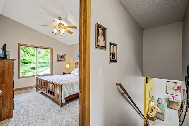 121 Arbor St, Northfield, MN 55057 - carpeted bedroom featuring lofted ceiling, ceiling fan, and a textured ceiling