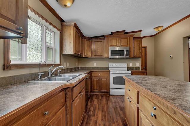 27331 Honey Hill Rd, Cushing Twp, MN 56475 - photo 5
