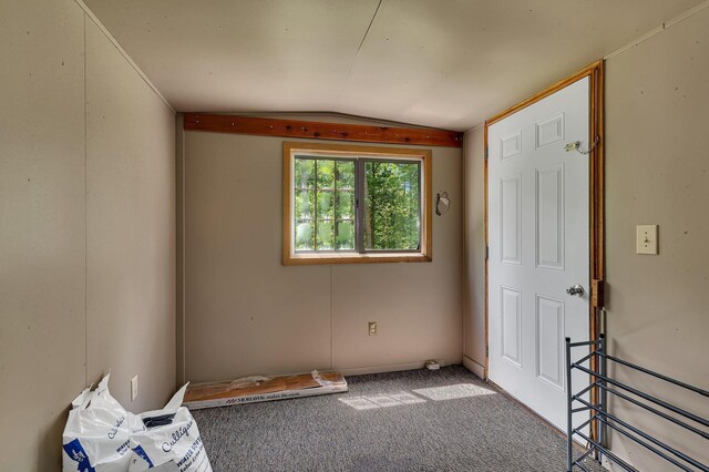 27331 Honey Hill Rd, Cushing Twp, MN 56475 - photo 27
