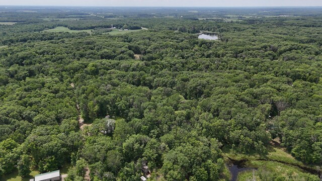 27331 Honey Hill Rd, Cushing Twp, MN 56475 - photo 43