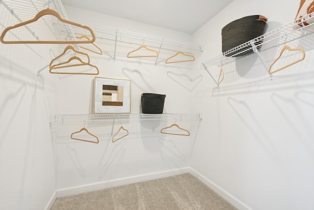 15165 Quince St NW, Andover, MN 55304 - walk in closet with carpet flooring