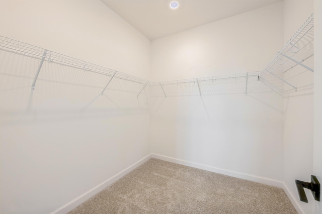 9734 49th St NE, Saint Michael, MN 55376 - spacious closet featuring light carpet