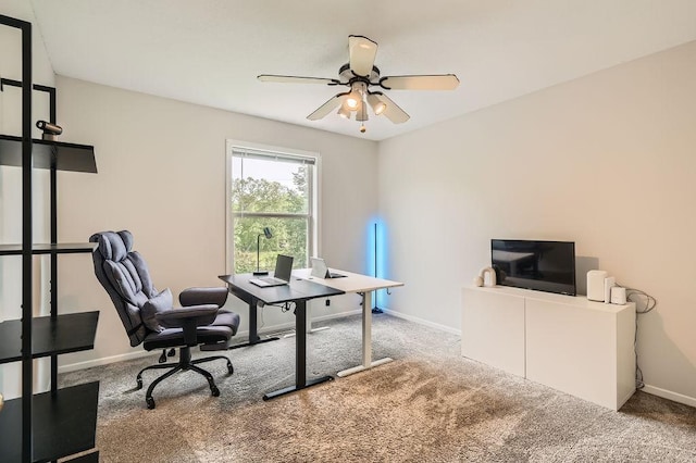6788 Carlisle Curv, Shakopee, MN 55379 - carpeted office with ceiling fan and baseboards