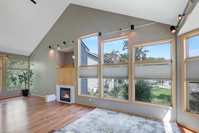 10902 Eagle Lake Blvd, Maple Grove, MN 55369 - unfurnished living room with wood finished floors, a fireplace, and high vaulted ceiling