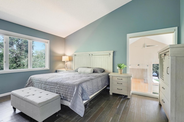 10902 Eagle Lake Blvd, Maple Grove, MN 55369 - bedroom featuring vaulted ceiling and dark wood-style flooring