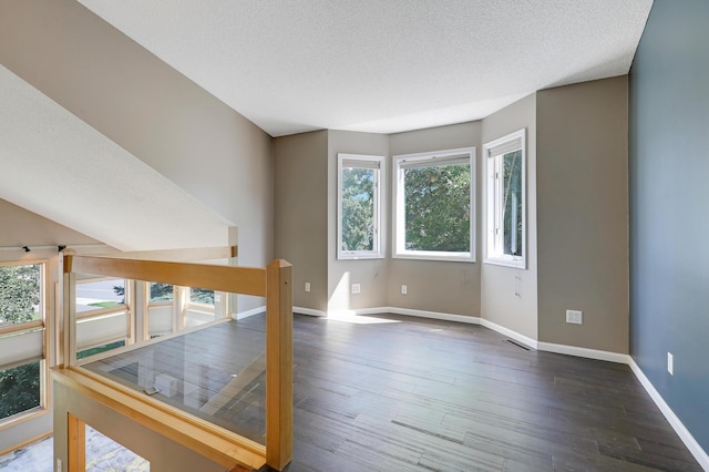 10902 Eagle Lake Blvd, Maple Grove, MN 55369 - unfurnished room with plenty of natural light, dark wood-type flooring, and a textured ceiling