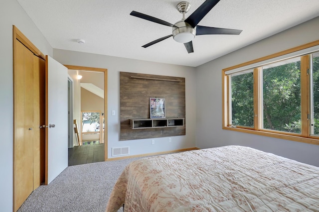 10902 Eagle Lake Blvd, Maple Grove, MN 55369 - bedroom with multiple windows, carpet flooring, a textured ceiling, and ceiling fan
