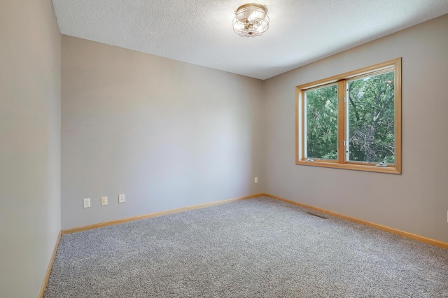 10902 Eagle Lake Blvd, Maple Grove, MN 55369 - carpeted empty room featuring baseboards and a textured ceiling