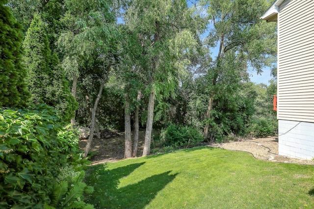 10902 Eagle Lake Blvd, Maple Grove, MN 55369 - view of green lawn