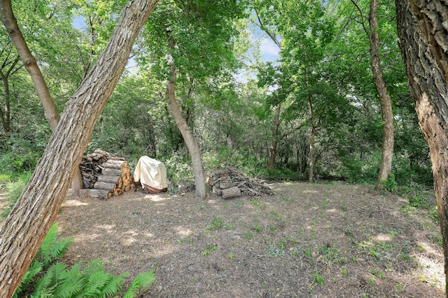 10902 Eagle Lake Blvd, Maple Grove, MN 55369 - view of yard