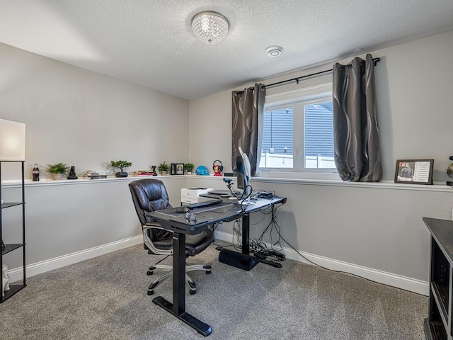 6937 94th St S, Cottage Grove, MN 55016 - office with carpet flooring and a textured ceiling