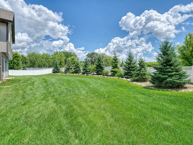 6937 94th St S, Cottage Grove, MN 55016 - view of fenced backyard