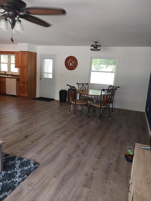1235 Mitchell Pl, Fergus Falls, MN 56537 - dining space with ceiling fan, healthy amount of natural light, and dark wood-style flooring
