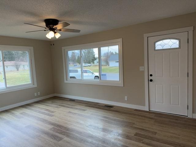 20 Erie St, Aurora, MN 55705 - entryway with wood finished floors, plenty of natural light, ceiling fan, and a textured ceiling