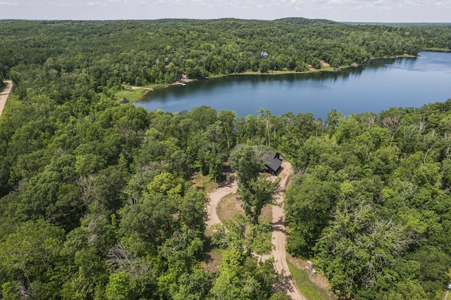 33130 Perch Lake Rd, Detroit Lakes, MN 56501 - photo 2