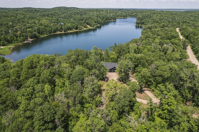 33130 Perch Lake Rd, Detroit Lakes, MN 56501 - photo 29