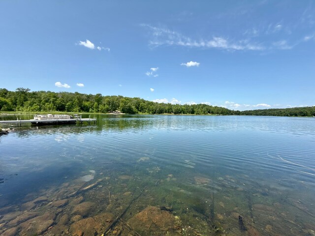 33130 Perch Lake Rd, Detroit Lakes, MN 56501 - photo 34