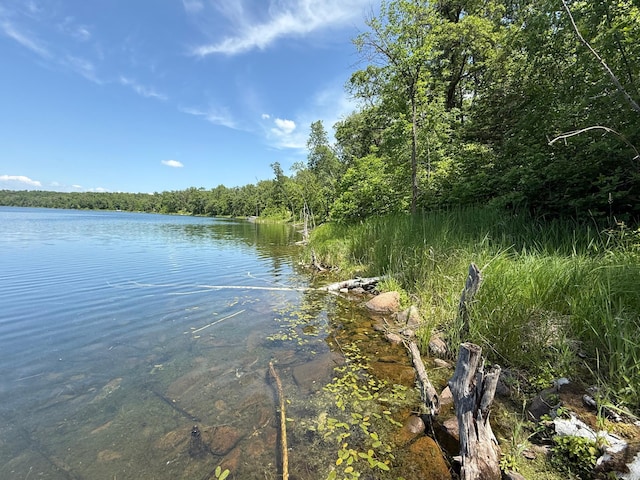 33130 Perch Lake Rd, Detroit Lakes, MN 56501 - photo 36