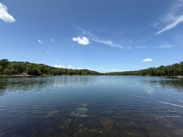 33130 Perch Lake Rd, Detroit Lakes, MN 56501 - photo 37