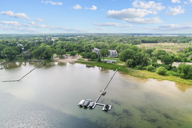5011 Lake Ave Unit 105, White Bear Lake, MN 55110 - aerial view of a large body of water and a heavily wooded area